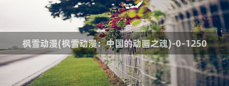 儿童动漫：枫雪动漫(枫雪动漫：中国的动画之魂)