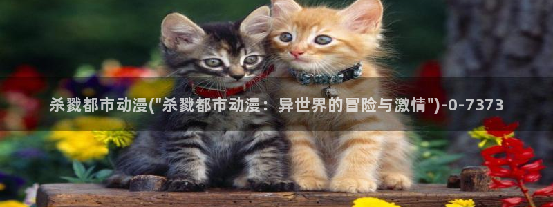 动漫免费看：杀戮都市动漫(\