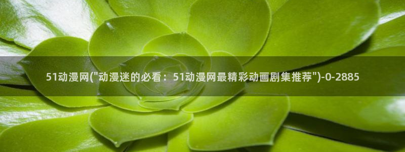 爱动漫网