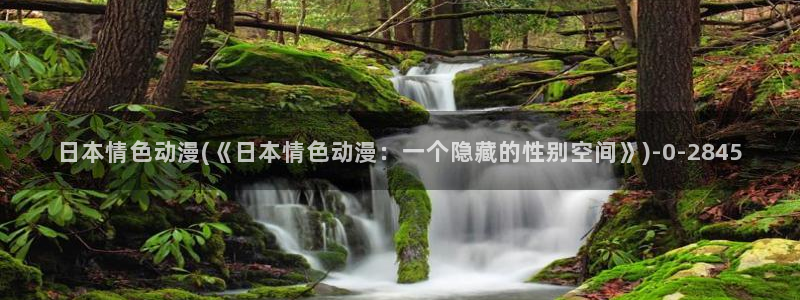 动漫同人